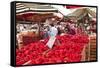 Tomatoes on Sale at the Open Air Market of Piazza Della Repubblica, Turin, Piedmont, Italy, Europe-Julian Elliott-Framed Stretched Canvas