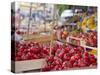 Tomatoes on Street Market Stall, Palermo, Sicily, Italy, Europe-Miller John-Stretched Canvas