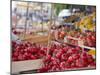 Tomatoes on Street Market Stall, Palermo, Sicily, Italy, Europe-Miller John-Mounted Photographic Print