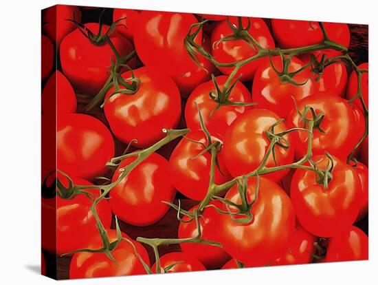 Tomatoes On The Vine-Dorothy Berry-Lound-Stretched Canvas