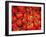 Tomatoes On The Vine-Dorothy Berry-Lound-Framed Giclee Print