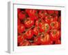 Tomatoes On The Vine-Dorothy Berry-Lound-Framed Giclee Print