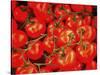 Tomatoes On The Vine-Dorothy Berry-Lound-Stretched Canvas