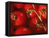 Tomatoes on Vine-Mitch Diamond-Framed Stretched Canvas