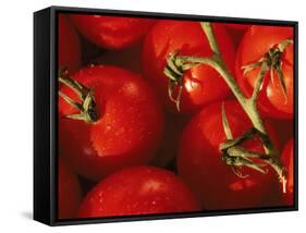 Tomatoes on Vine-Mitch Diamond-Framed Stretched Canvas