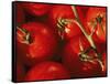 Tomatoes on Vine-Mitch Diamond-Framed Stretched Canvas