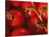 Tomatoes on Vine-Mitch Diamond-Stretched Canvas