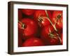 Tomatoes on Vine-Mitch Diamond-Framed Premium Photographic Print