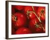 Tomatoes on Vine-Mitch Diamond-Framed Photographic Print