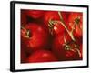 Tomatoes on Vine-Mitch Diamond-Framed Photographic Print