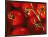 Tomatoes on Vine-Mitch Diamond-Framed Photographic Print