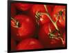 Tomatoes on Vine-Mitch Diamond-Framed Photographic Print