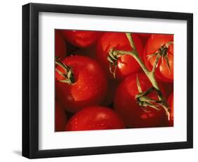 Tomatoes on Vine-Mitch Diamond-Framed Photographic Print