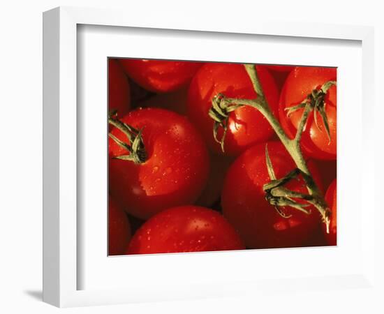 Tomatoes on Vine-Mitch Diamond-Framed Photographic Print