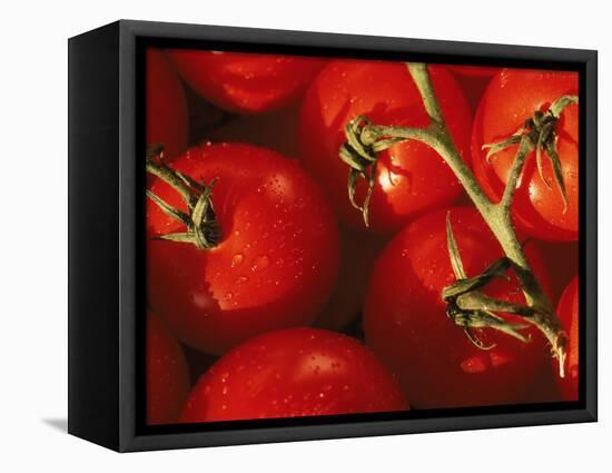 Tomatoes on Vine-Mitch Diamond-Framed Stretched Canvas