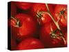 Tomatoes on Vine-Mitch Diamond-Stretched Canvas