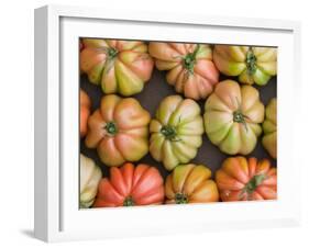 Tomatoes, Positano, Amalfi Coast, Campania, Italy-Walter Bibikow-Framed Premium Photographic Print