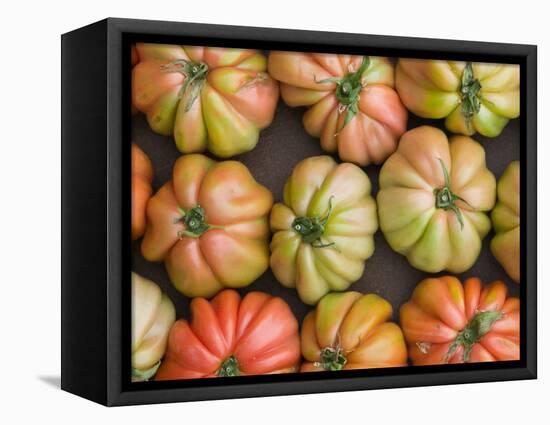 Tomatoes, Positano, Amalfi Coast, Campania, Italy-Walter Bibikow-Framed Stretched Canvas