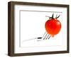 Tomatoes - Tomato - Vegetables - Foods-Philippe Hugonnard-Framed Photographic Print