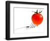 Tomatoes - Tomato - Vegetables - Foods-Philippe Hugonnard-Framed Photographic Print