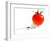 Tomatoes - Tomato - Vegetables - Foods-Philippe Hugonnard-Framed Photographic Print