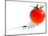 Tomatoes - Tomato - Vegetables - Foods-Philippe Hugonnard-Mounted Photographic Print