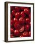 Tomatoes with Drops of Water-Jean-paul Boyer-Framed Photographic Print