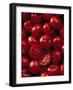 Tomatoes with Drops of Water-Jean-paul Boyer-Framed Photographic Print