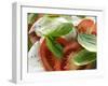 Tomatoes with Mozzarella and Basil (Close-Up)-Foodcollection-Framed Photographic Print