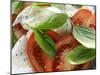 Tomatoes with Mozzarella and Basil (Close-Up)-Foodcollection-Mounted Photographic Print