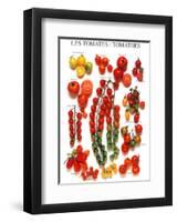 Tomatoes-null-Framed Art Print