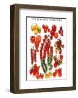 Tomatoes-null-Framed Art Print