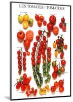 Tomatoes-null-Mounted Art Print