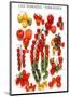 Tomatoes-null-Mounted Art Print