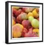 Tomatoes-Stacy Bass-Framed Giclee Print