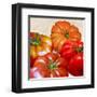 Tomatoes-Remo Barbieri-Framed Art Print