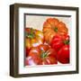 Tomatoes-Remo Barbieri-Framed Art Print