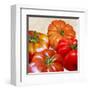 Tomatoes-Remo Barbieri-Framed Art Print