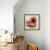 Tomatoes-Mark Sykes-Framed Premium Photographic Print displayed on a wall