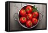 Tomatoes-Bozena_Fulawka-Framed Stretched Canvas