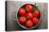 Tomatoes-Bozena_Fulawka-Stretched Canvas