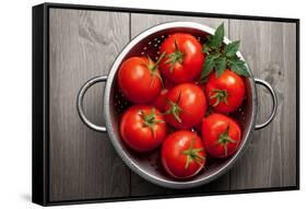 Tomatoes-Bozena_Fulawka-Framed Stretched Canvas