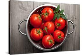 Tomatoes-Bozena_Fulawka-Stretched Canvas