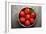 Tomatoes-Bozena_Fulawka-Framed Photographic Print