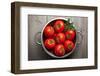 Tomatoes-Bozena_Fulawka-Framed Photographic Print