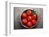 Tomatoes-Bozena_Fulawka-Framed Photographic Print