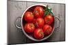 Tomatoes-Bozena_Fulawka-Mounted Photographic Print