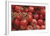 Tomatoes-null-Framed Photographic Print