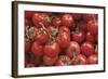 Tomatoes-null-Framed Photographic Print