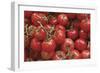Tomatoes-null-Framed Photographic Print